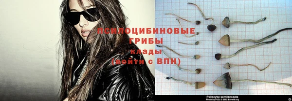 jwh Алзамай