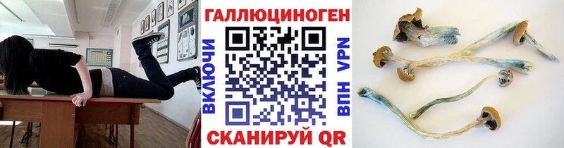 маркетплейс телеграм  Волжский  Псилоцибиновые грибы Psilocybine cubensis  купить  